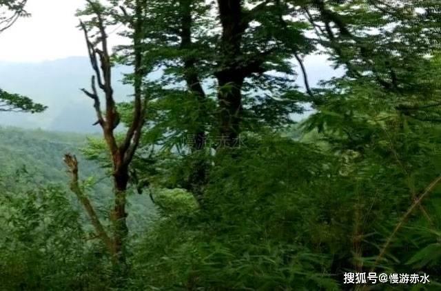 四川省政府工作报告丨2023年四川办理新增减税降费及退税缓费超过860亿元